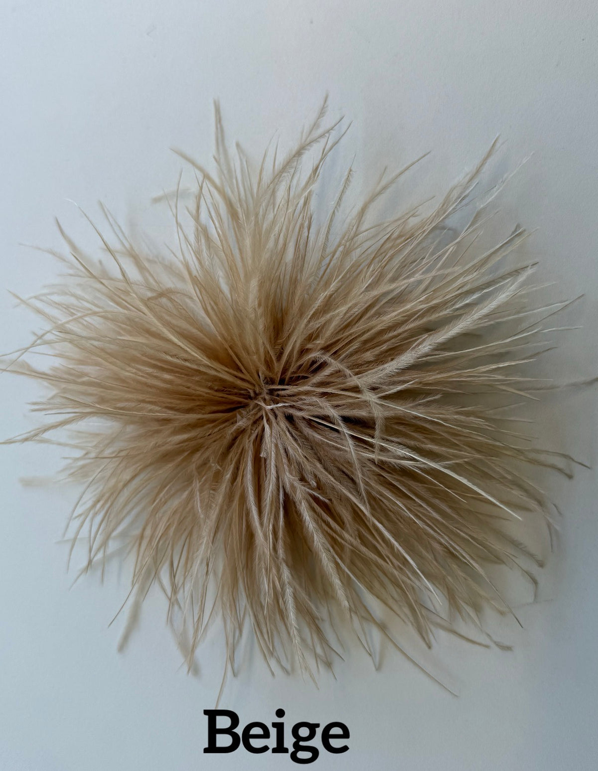Small feather brooch