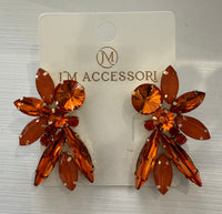 Colorful Crystal Earring