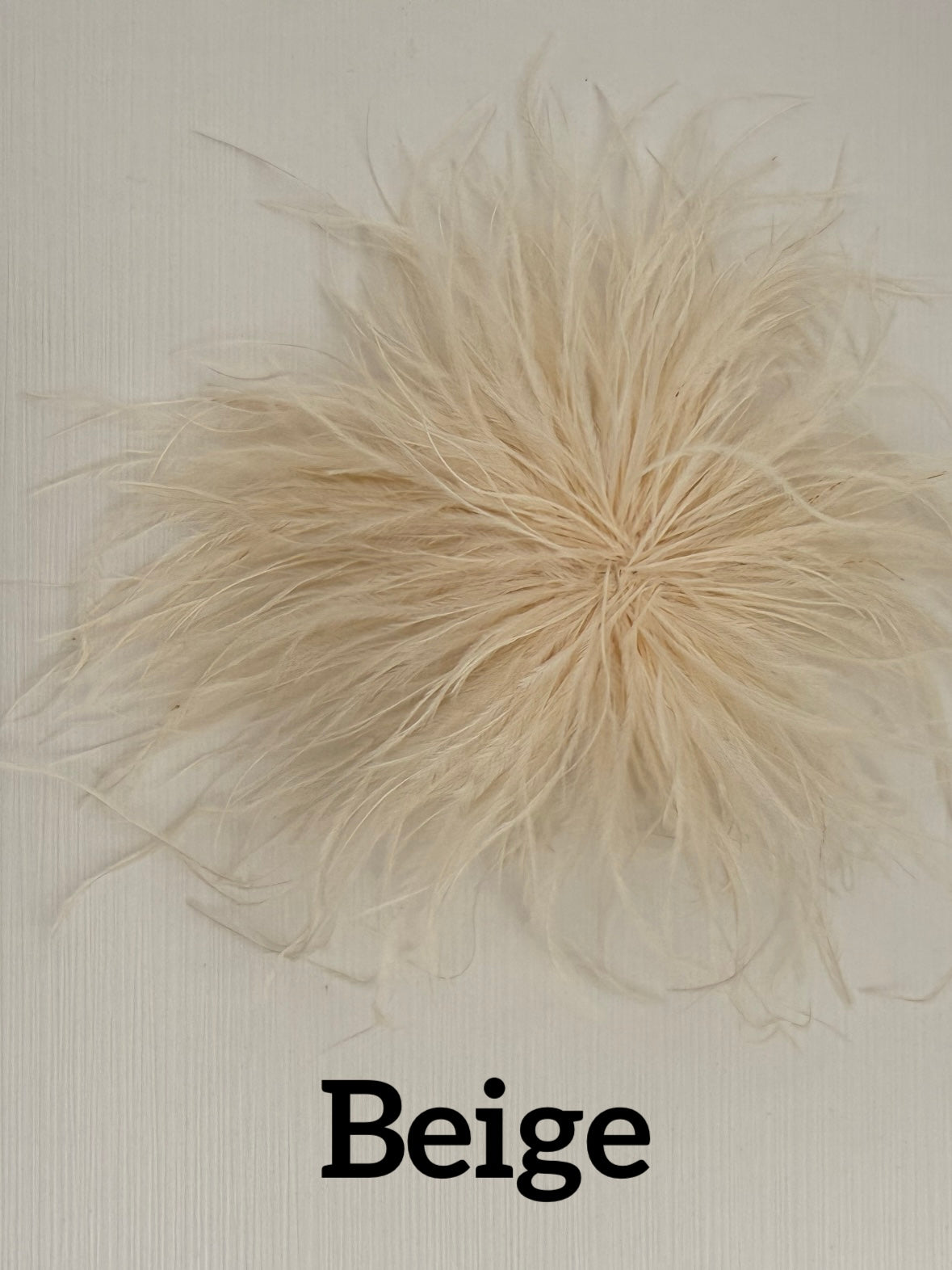 Small feather brooch