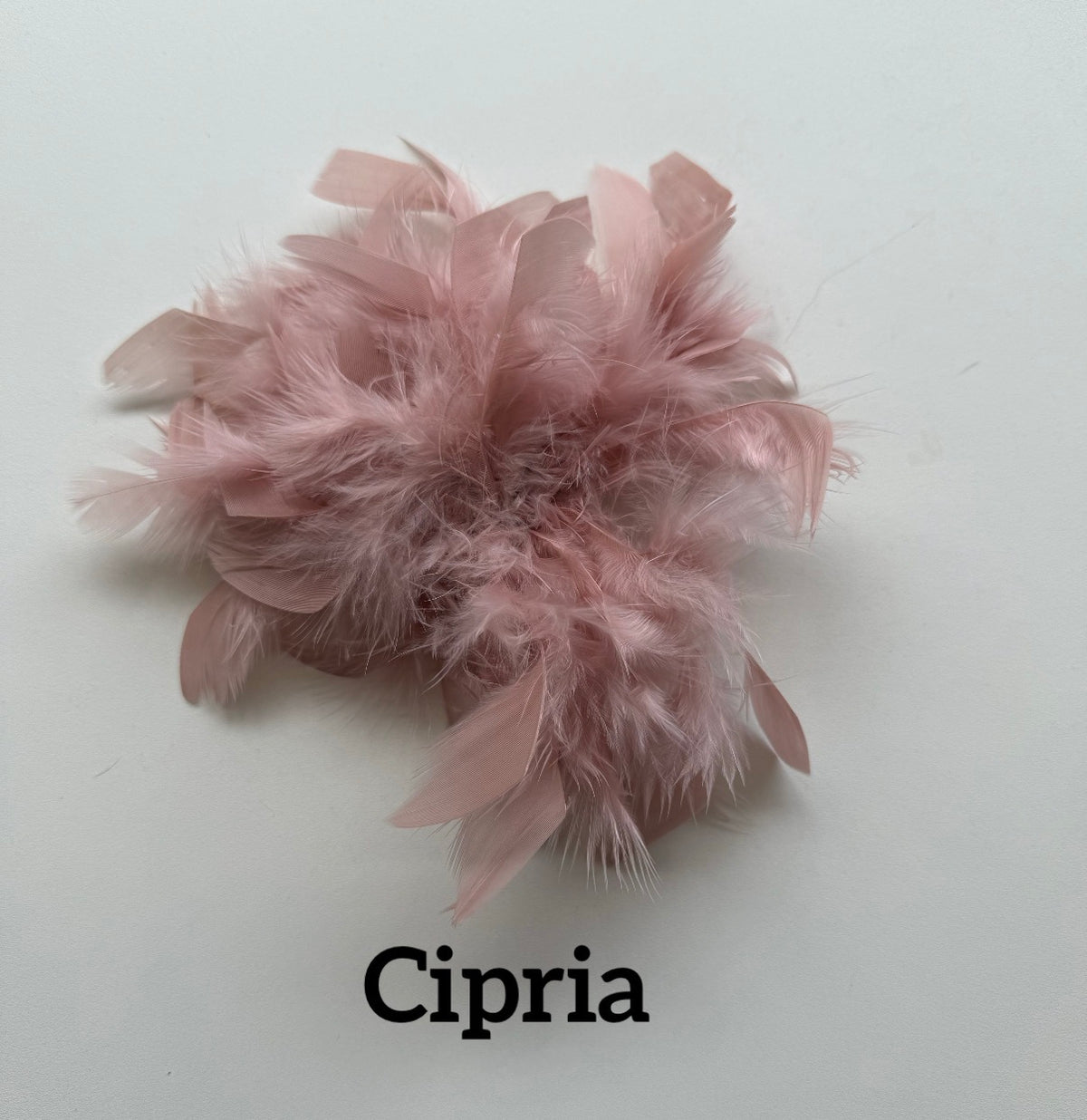 Large feather brooch