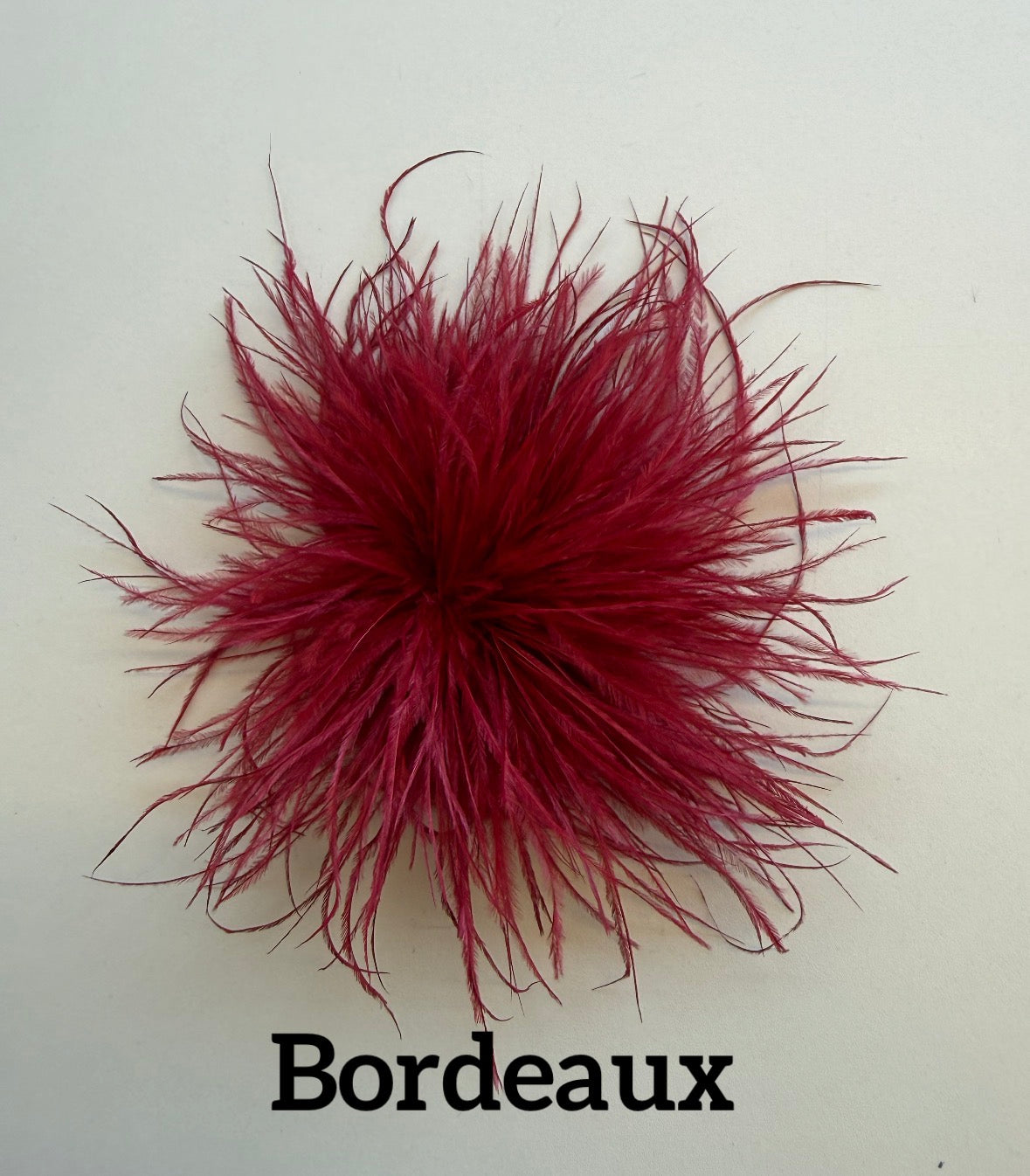 Small feather brooch