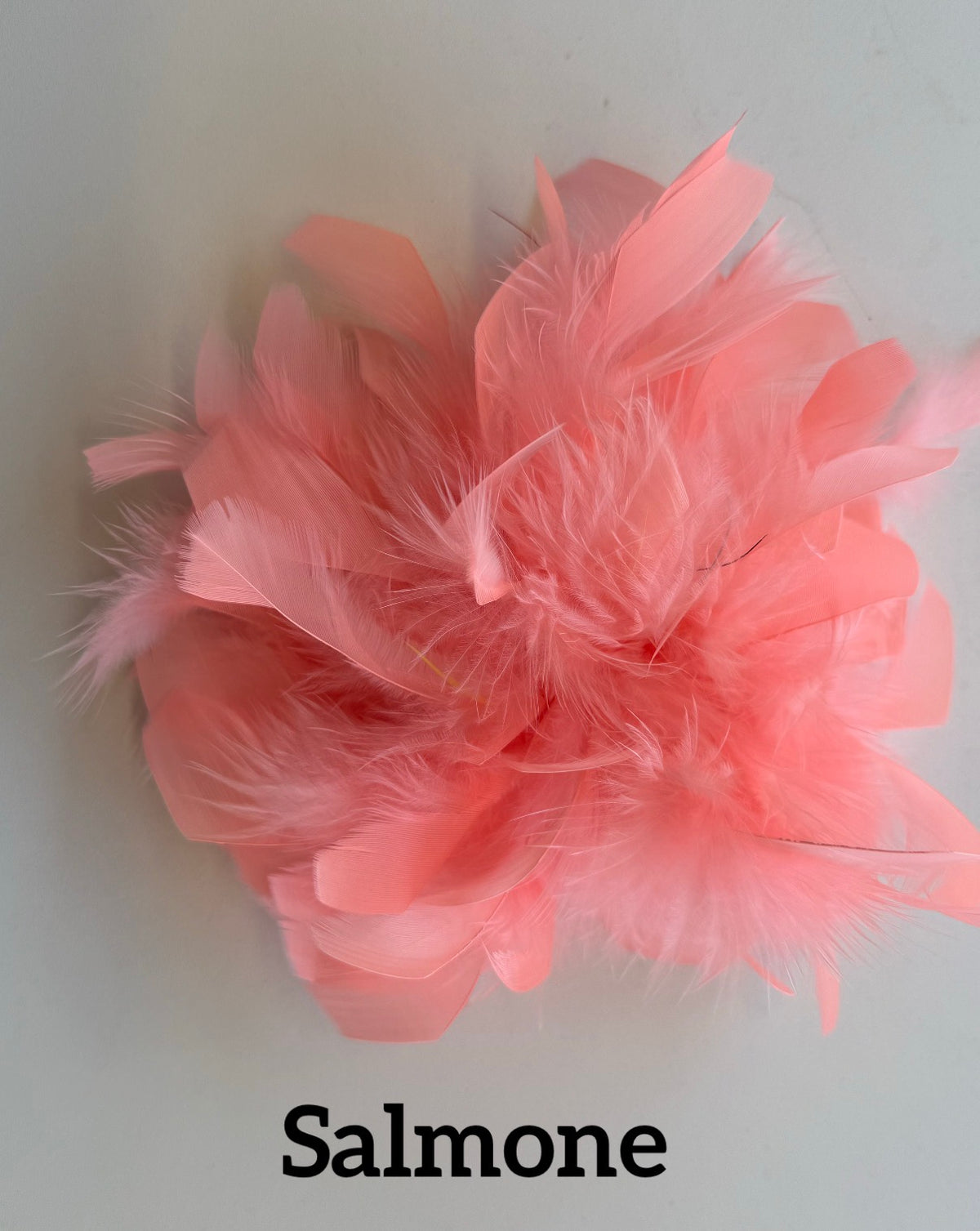 Large feather brooch