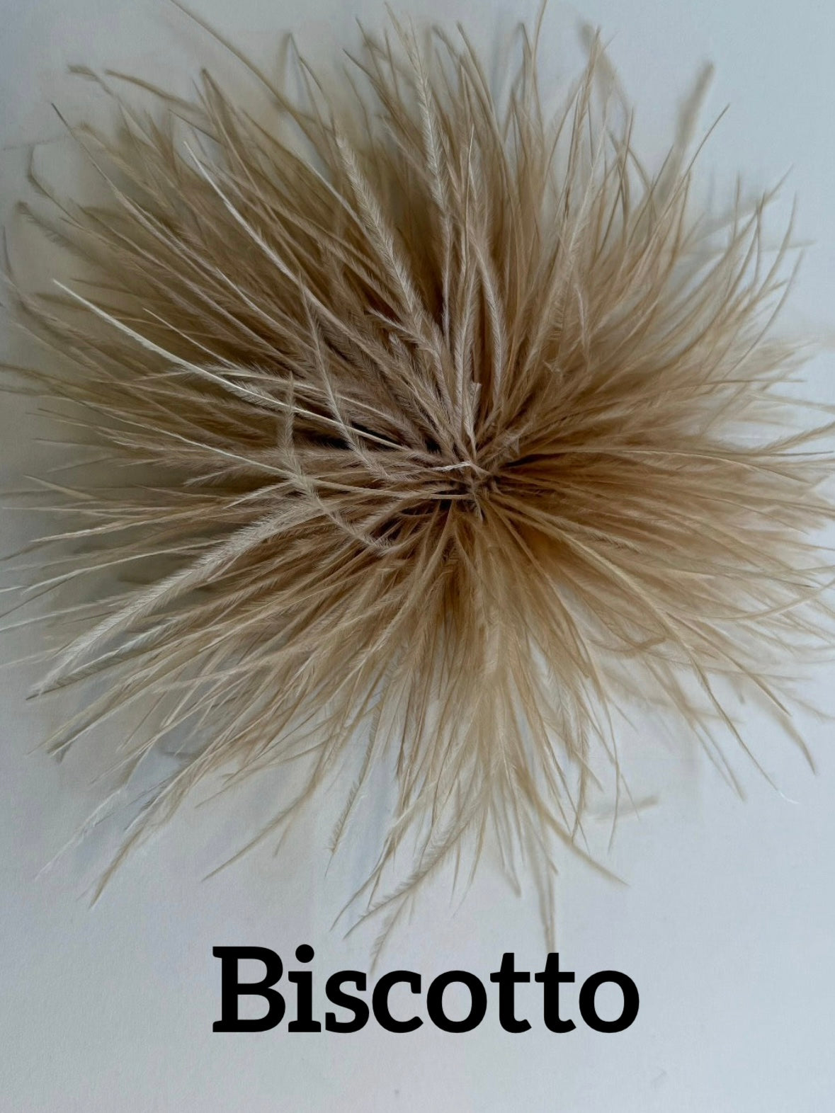 Small feather brooch
