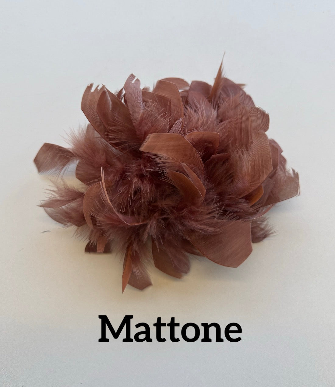 Large feather brooch