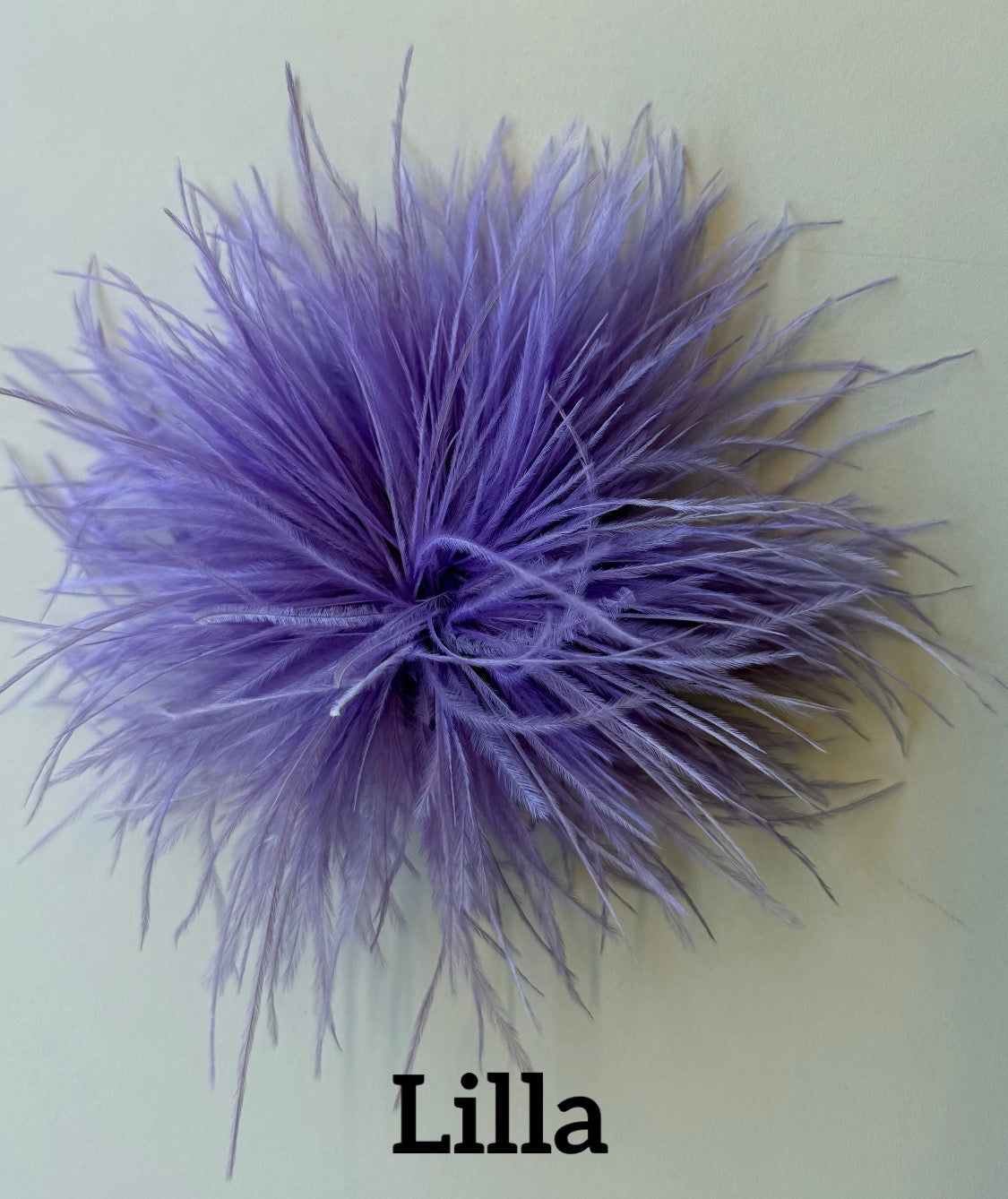 Small feather brooch