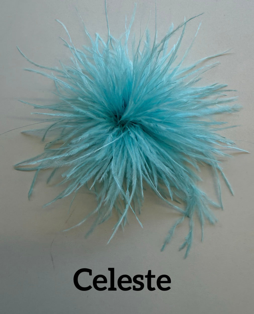 Small feather brooch