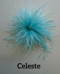 Small feather brooch