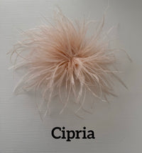 Small feather brooch