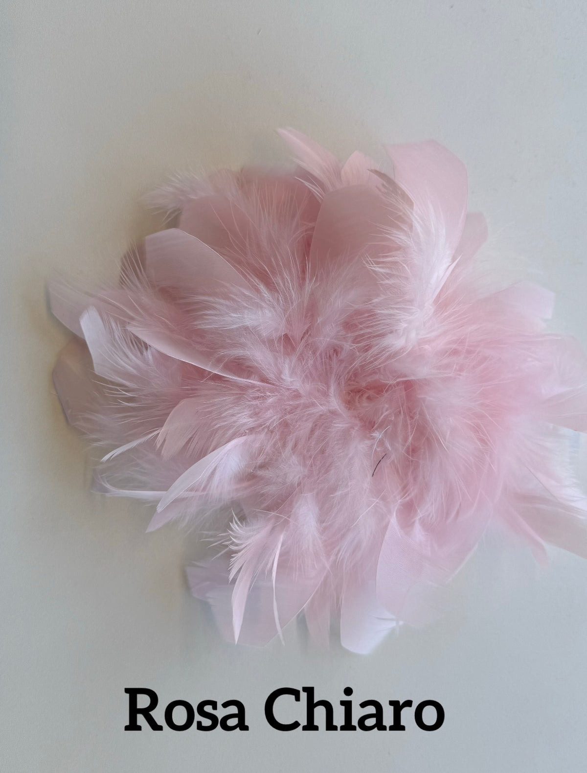Large feather brooch