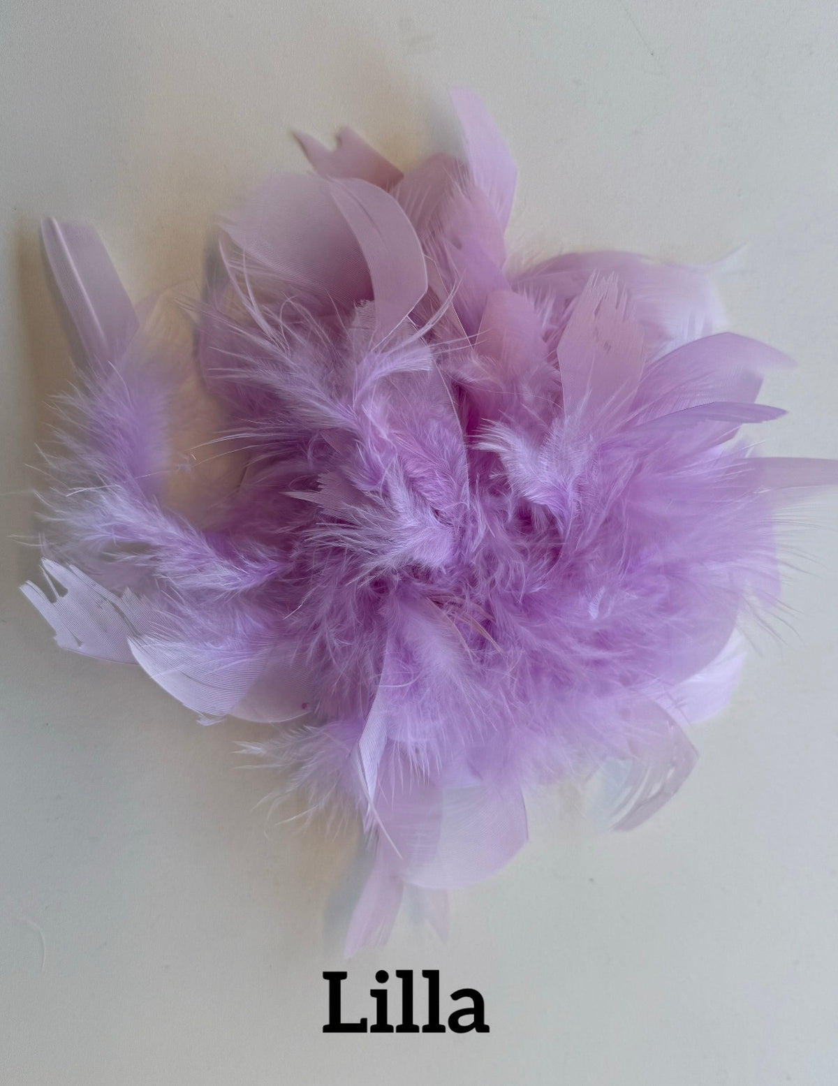 Large feather brooch