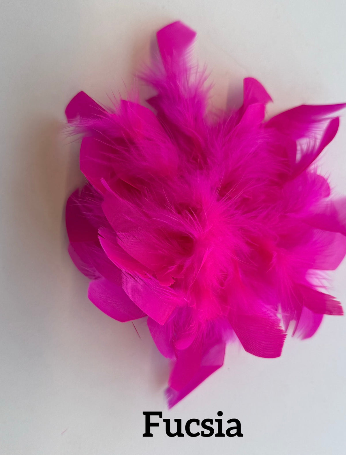 Large feather brooch