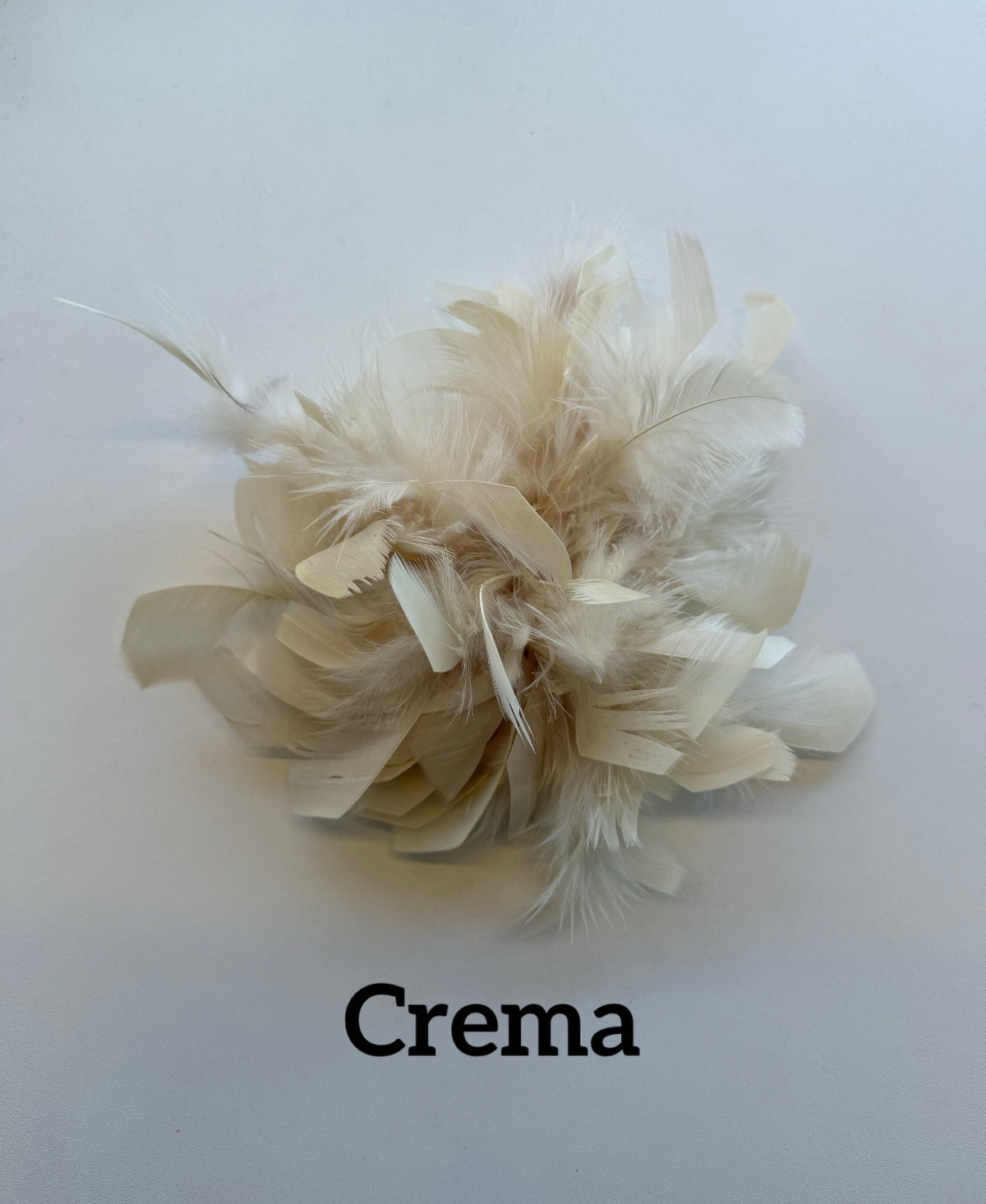 Large feather brooch