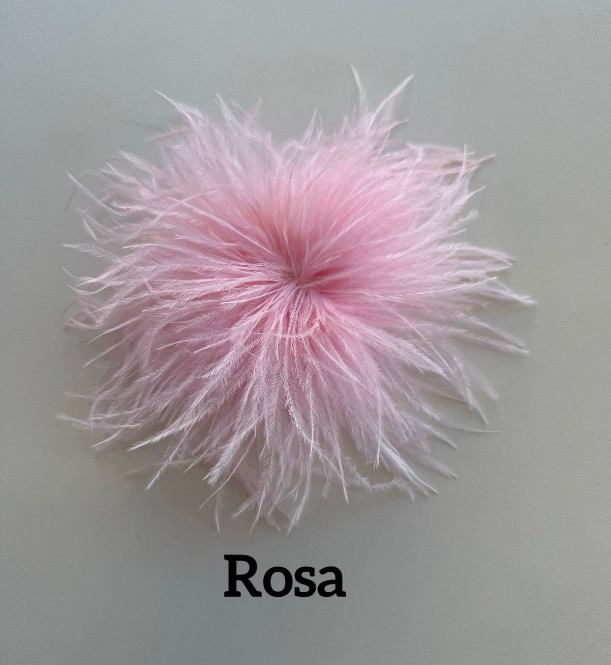 Small feather brooch