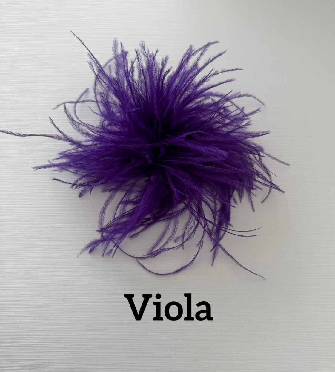 Small feather brooch