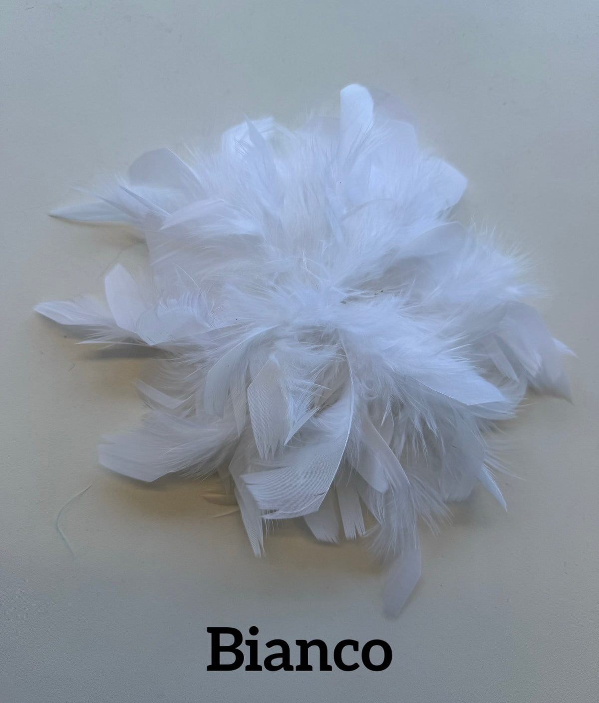 Large feather brooch